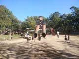 IMG_20161224_145411